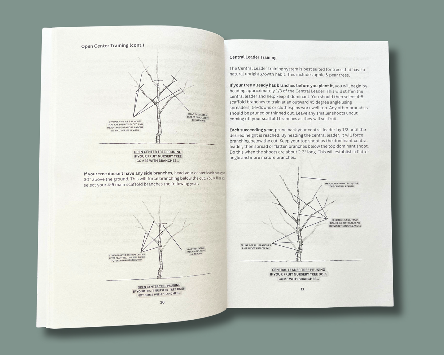 Booth Orchards Fruit Tree Guide & Log Book