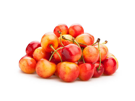 Radiance Pearl Cherry (White Flesh) Tree