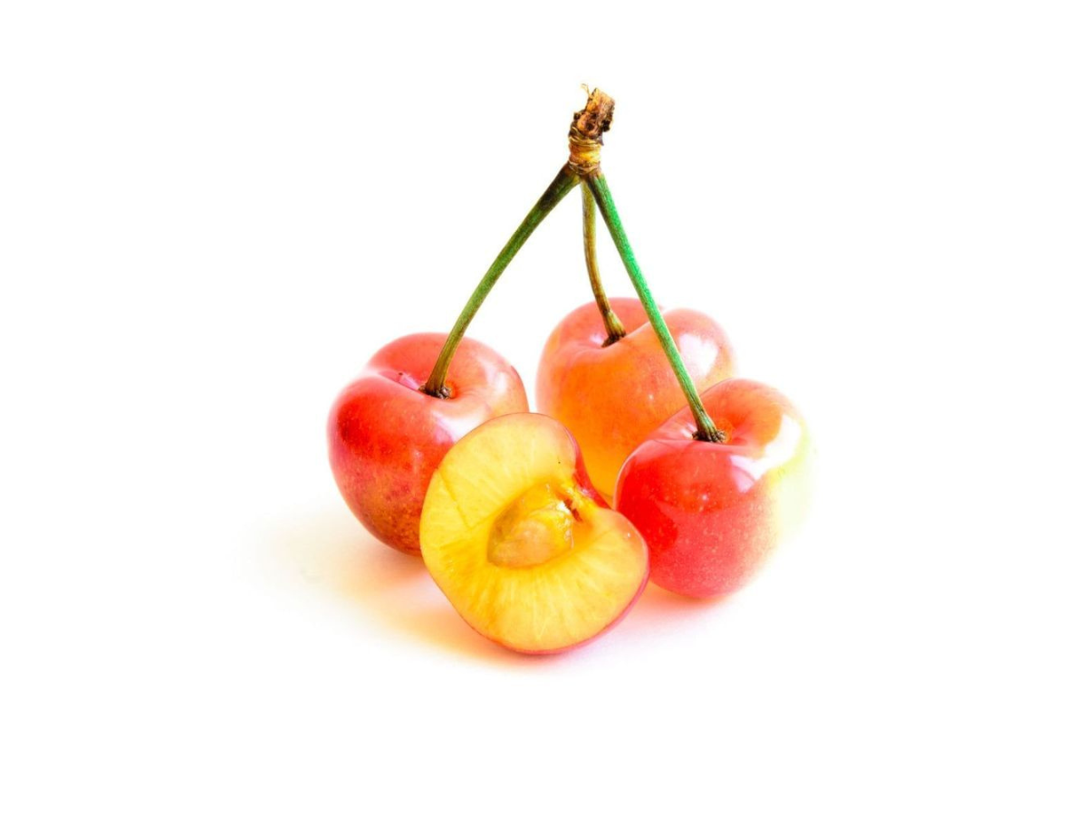 Rainier Cherry (White Flesh) Tree