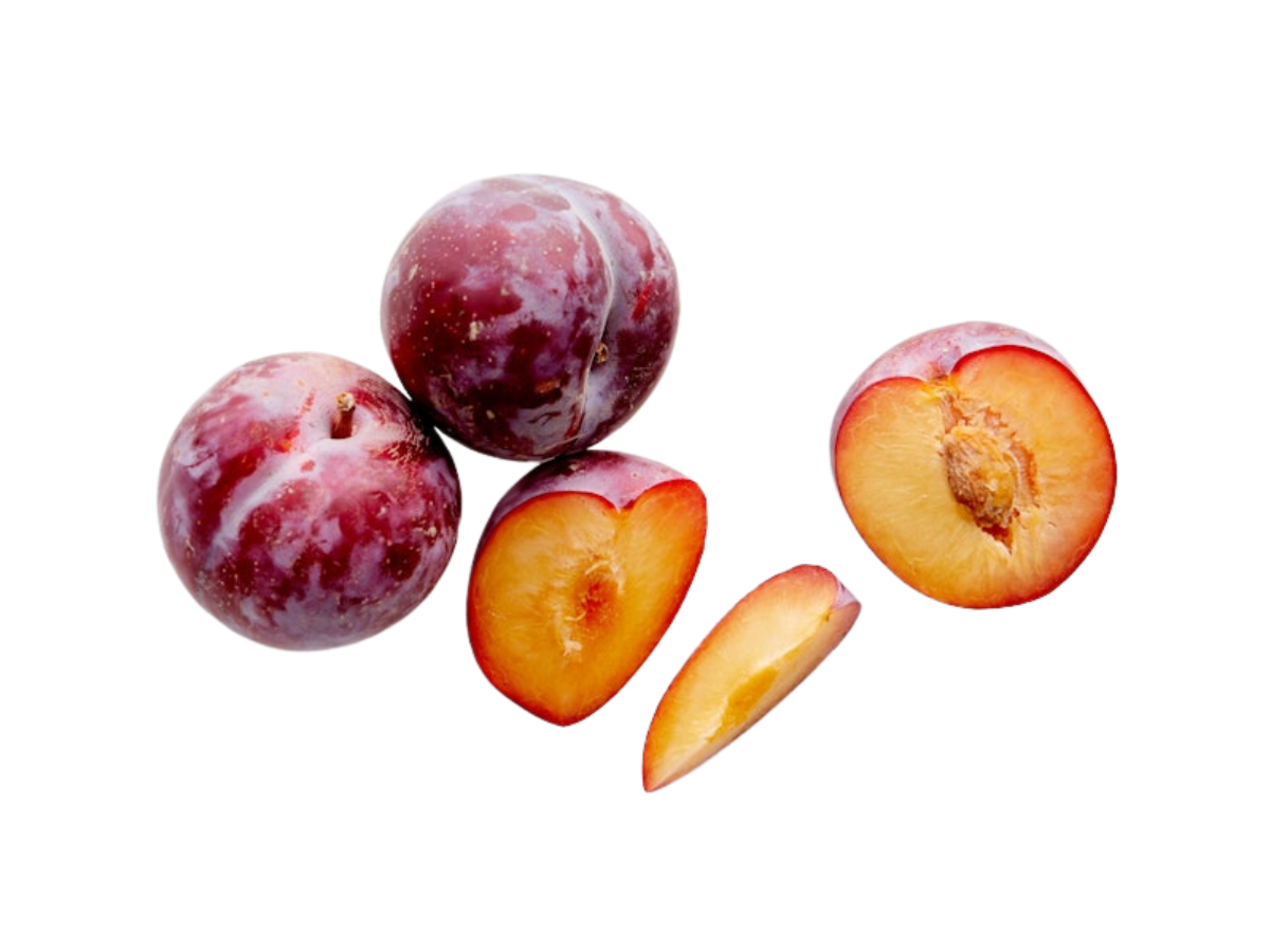 Flavor King Plumcot Tree